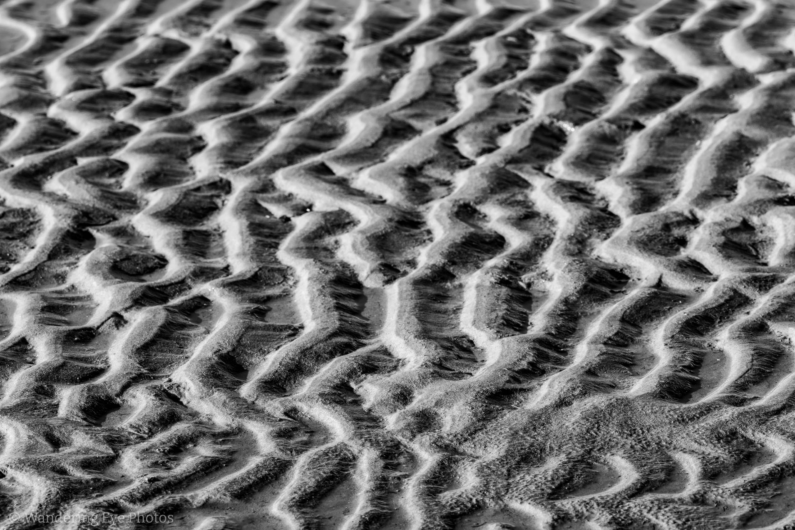 11.17 13.12.59   DSC00313